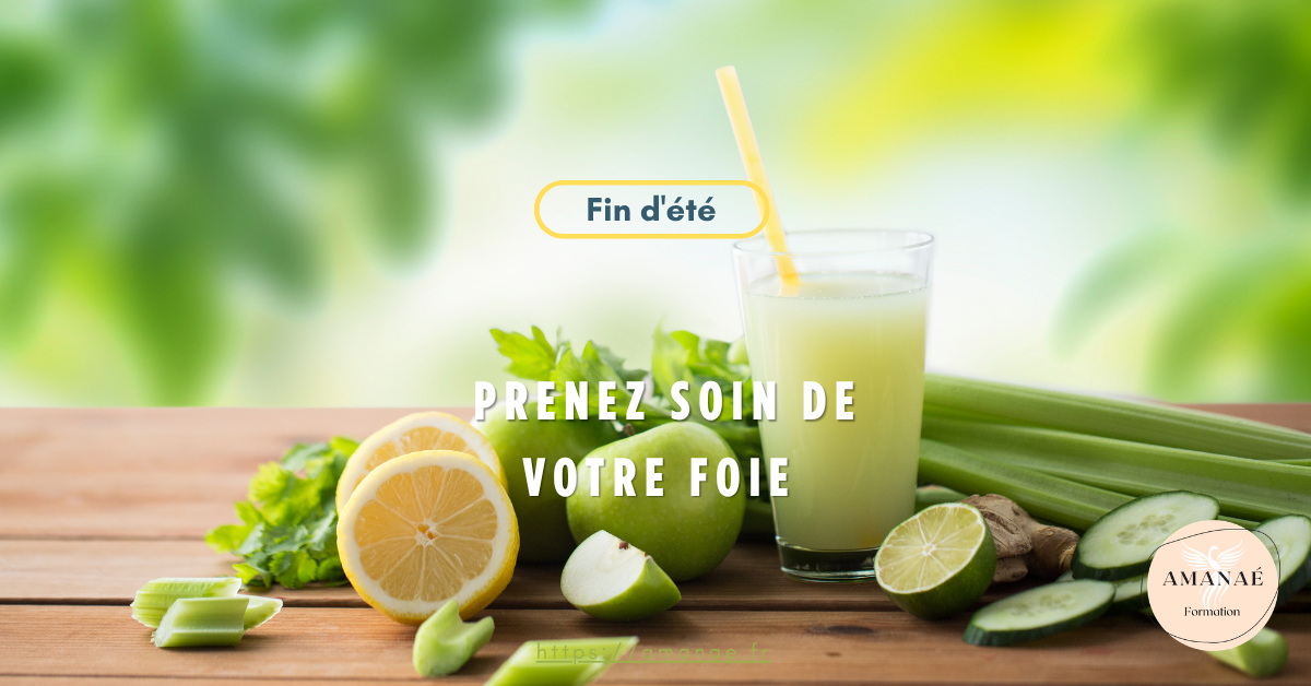 Fin d'été : comment accompagner naturellement son organisme après les excès des vacances ?
