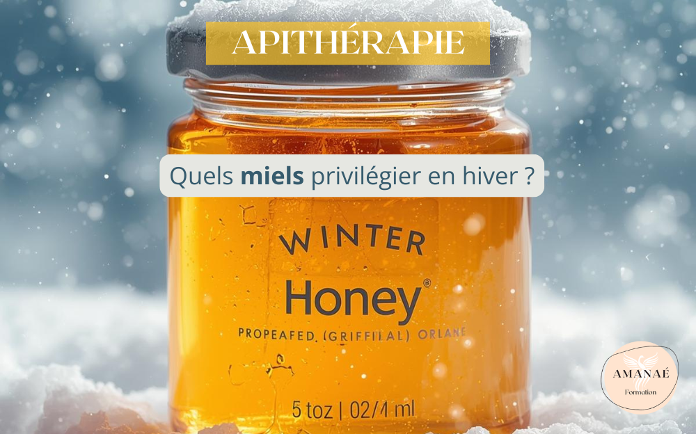 Quels MIELS privilégier en Hiver ?