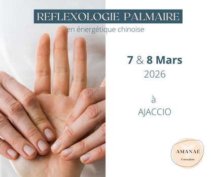 Réflexologie PALMAIRE