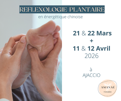 Réflexologie PLANTAIRE