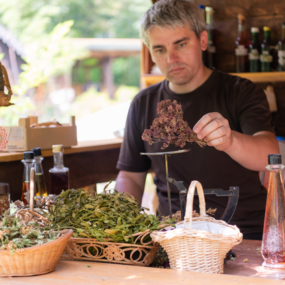 Conseiller expert en Naturopathie - 590 heures