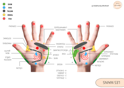 Réflexologie PALMAIRE