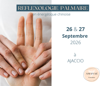 Réflexologie PALMAIRE