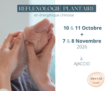 Réflexologie PLANTAIRE